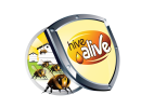 HIVE ALIVE